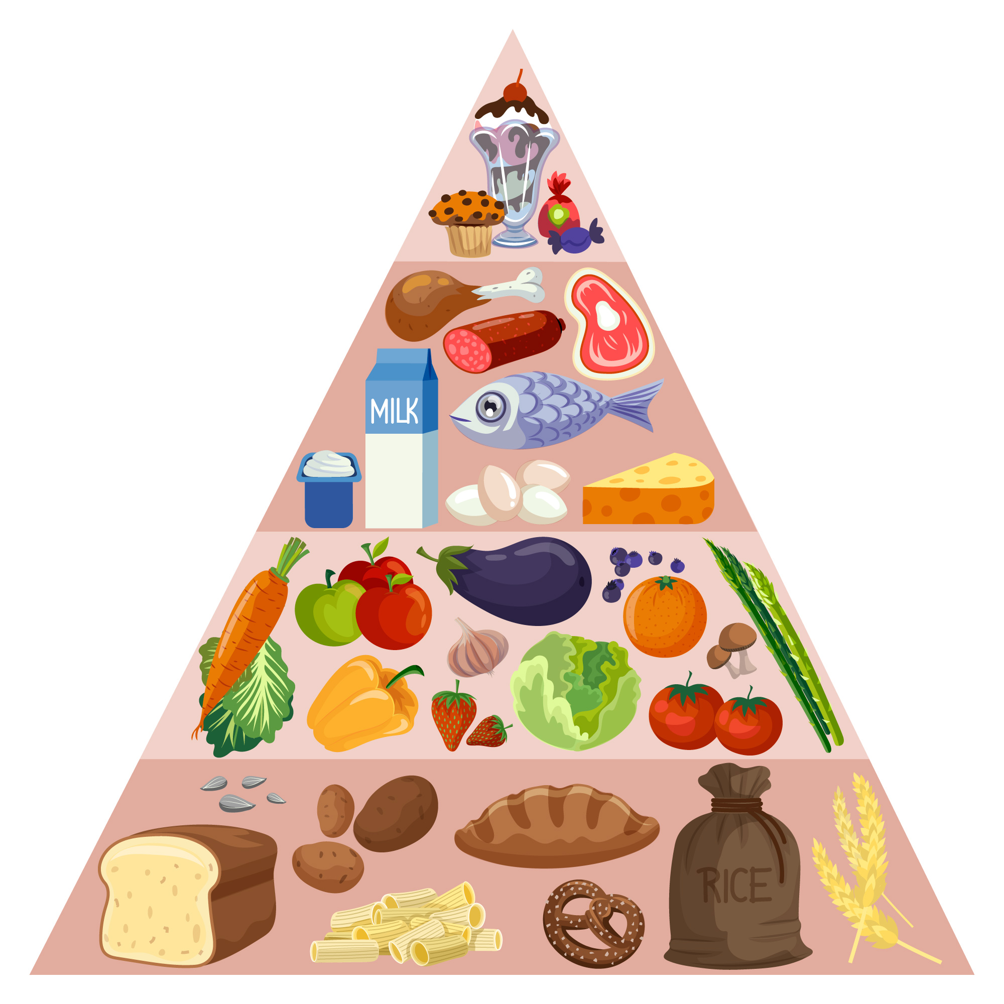 Pirâmide Alimentar: seu guia para uma vida saudável | Sami Saúde